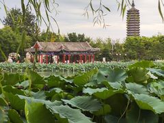 -西海子公园