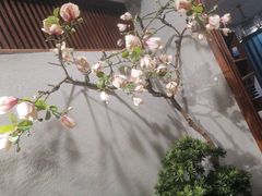 -天天鱼港·海鲜·鲅鱼水饺·招牌烤鸭(黄骅店)