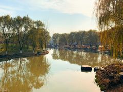 -西安浐灞国家湿地公园