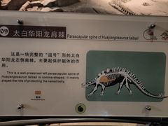 -自贡恐龙博物馆