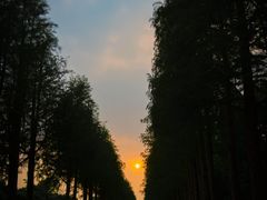 -锦江中华村农家乐饭庄