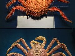 -广东省博物馆