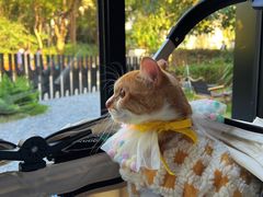 -J Create城市露营咖啡·简餐·宠物(上海动物园店)