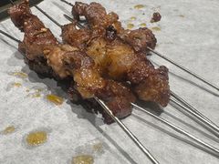 -鼎原力量东北吊炉烧烤(临河街店)