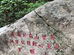 -王顺山国家森林公园