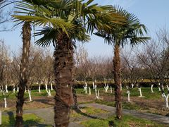 -白塘生态植物园