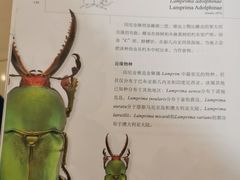 -上海昆虫博物馆
