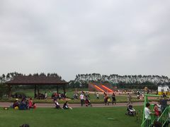 -迪茵湖田家舍生态农场