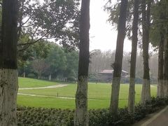 -合肥滨湖国家森林公园