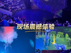 -武汉杂技厅