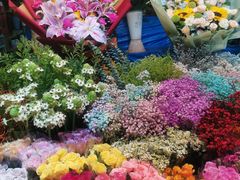 -朝来春花卉市场