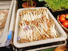 -老萍巷•莲花血鸭(楚萍店)