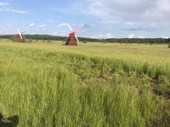 -塞罕坝国家级自然保护区