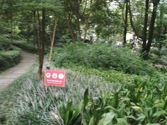 -成都市活水公园