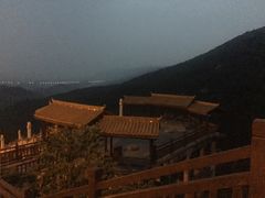 -铁山坪森林公园