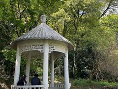 -苏州上方山国家森林公园