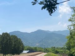 -秦始皇帝陵博物院-丽山园