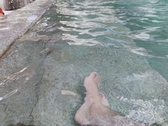 -春晖园度假酒店温泉