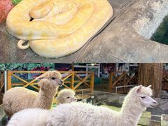 -上海大自然野生昆虫馆