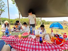 -春花秋色城市公园