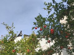 -雅鲁激流探险漂流