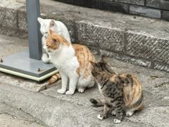 -云龙山
