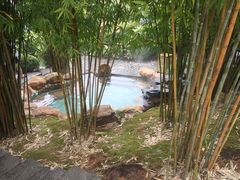 -崇阳三特浪口温泉