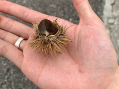 -南京市无想山景区