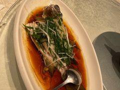 -大东海海鲜酒楼(渔人码头总店)