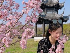 -梁鸿国家湿地公园