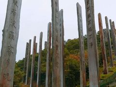 -凤凰山