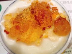 桃胶双皮奶-仁信双皮奶(庙前直街店)