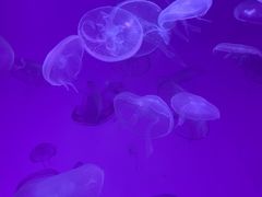 -沈阳海洋探索中心