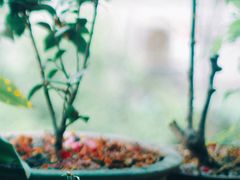 -鼓楼(西湖风景名胜区)