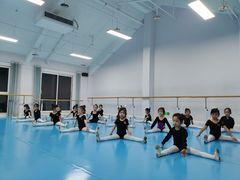 -西安小天鹅艺术团(曲江Alice店)