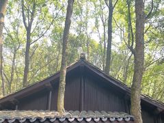 -富春桃源风景区