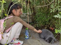-重庆彩云湖湿地公园