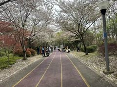 -尚贤河湿地