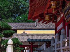 -灵谷景区