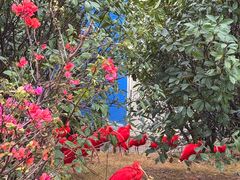 -甜莺蛋糕(顺盈时代广场店)