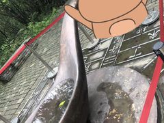 -融水老君洞景区