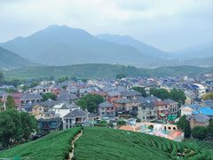 -龙坞茶村