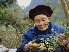-高荡千年布依古寨旅游景区