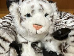 -广州长隆野生动物世界