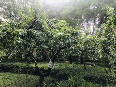 -木塔寺遗址生态公园