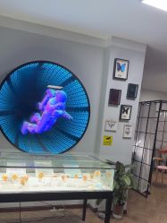 -众刺纹画·纹身·穿孔饰品·海娜定制