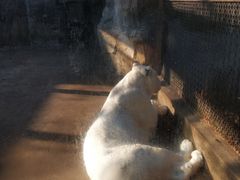 -南昌动物园
