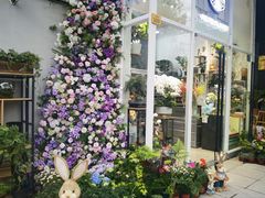 -FEI FEI FLOWER鲜花店·气球派对·宝宝宴布置(虹口德必运动Loft店)