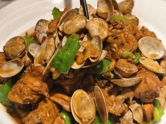 红岛蛤蜊炒鸡-船歌·鱼水饺青岛菜(正阳路店)
