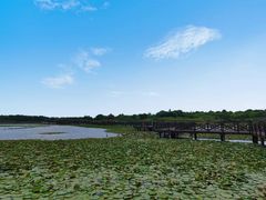 -上海海湾国家森林公园